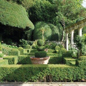 Ogród w stylu francuskim