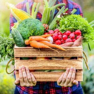 Drewniana skrzynka na warzywa i owoce – zrób to sam!