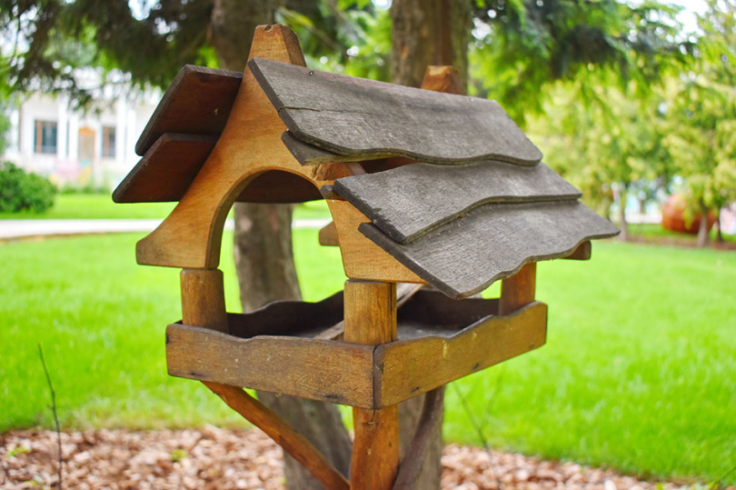Drewniany karmnik dla ptaków w ogrodzie