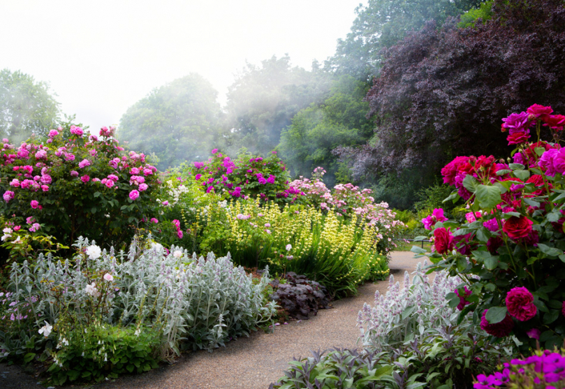 Kolorowe rośliny w romantycznym ogrodzie