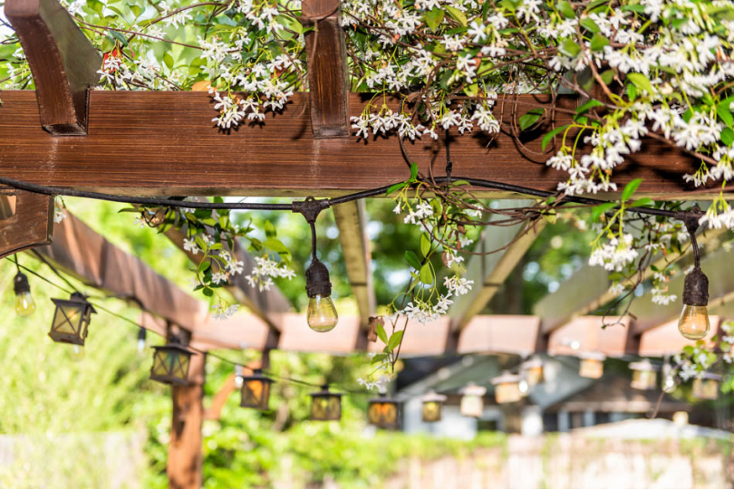 Pergola drewniana w ogrodzie.
