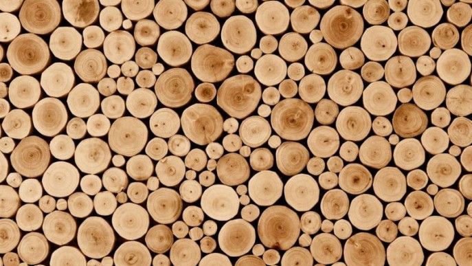 Drewno jako naturalny budulec