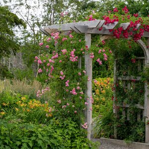 Pomysł na pergolę w ogrodzie. Do zabezpieczenia drewna użyj środków VIDARON np. Impregnatu Ochronno-Dekoracyjnego Powłokotwórczego.