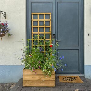 Mała pergola z donicą.