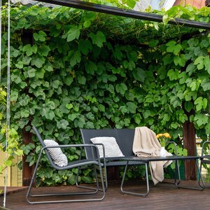 Przyścienna drewniana pergola na winogrona. Proponowany produkt do impregnacji to Impregnat Ochronno-Dekoracyjny Powłokotwórczy VIDARON.