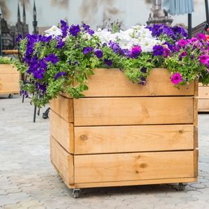 Donice drewniane – jak zrobić? Prosty przewodnik DIY