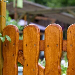 Drewniany płot w ogrodzie – z jakiego drewna najlepiej go wykonać? Porady eksperta