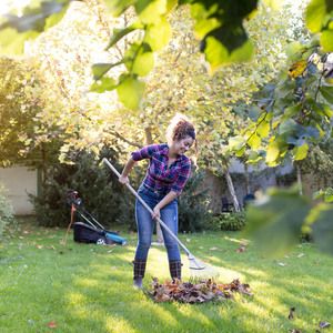 Jesienne porządki w ogrodzie – lista zadań do wykonania przy porządkowaniu ogrodu