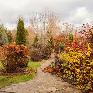 Kalendarz ogrodnika – październik w ogrodzie