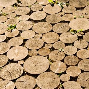 Drewniane nawierzchnie w ogrodzie – wady i zalety