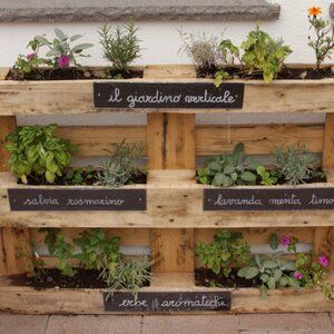 Jak zrobić warzywniak z palet do ogrodu? – krok po kroku