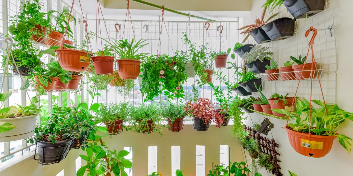 Ogródek ziołowy na balkonie, który łatwo zrobisz samodzielnie. 