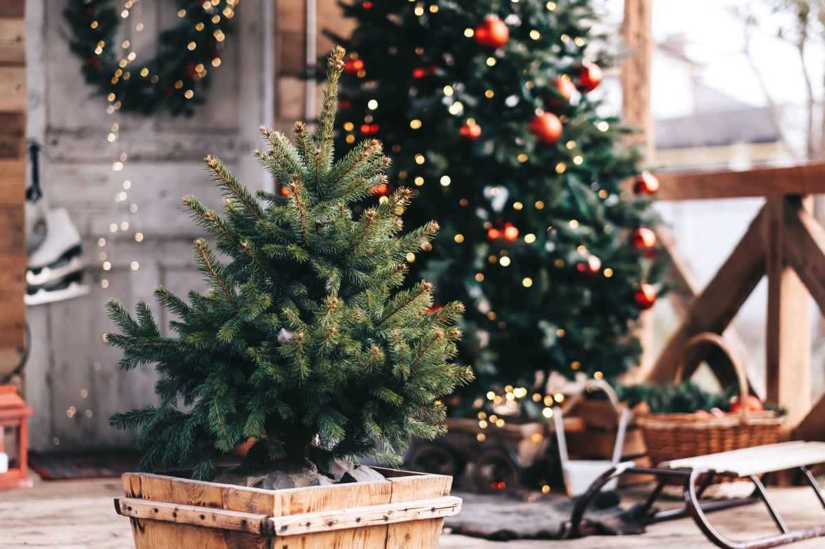 Aby uniknąć uszkodzenia świątecznych ozdób i innych dekoracji z drewna, trzeba je zabezpieczyć, stosując odpowiednie preparaty VIDARON.