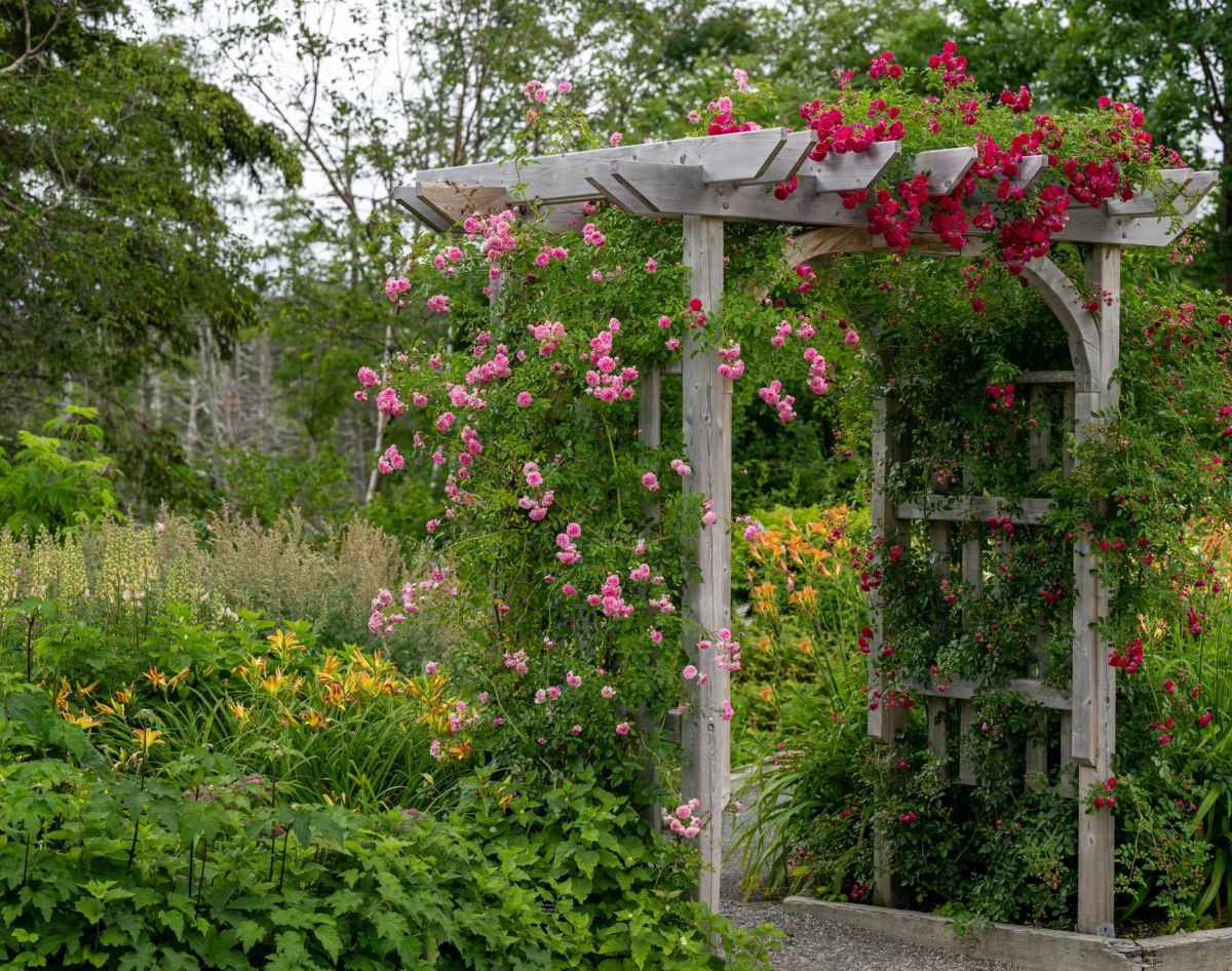 Pomysł na pergolę w ogrodzie. Do zabezpieczenia drewna użyj środków VIDARON np.<a href=/produkty?typ=impregnaty target='_blank'> Impregnat </a>u Ochronno-Dekoracyjnego Powłokotwórczego.