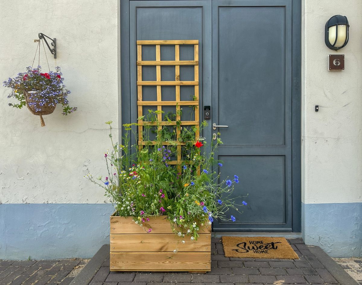 Mała pergola z donicą.