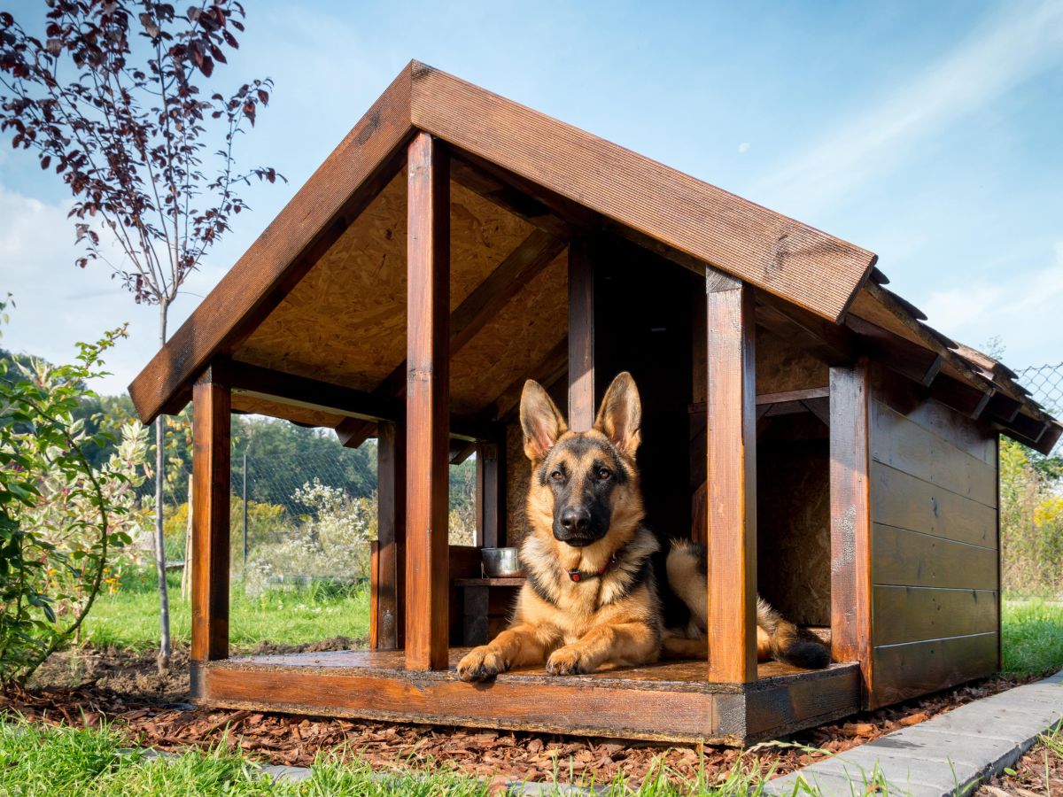 Drewniana buda psa zabezpieczona Impregnatem Ochronnym Do Drewna Gruntującym VIDARON i pomalowana Impregnatem Ochronno-Dekoracyjnym Ogrodowym. 