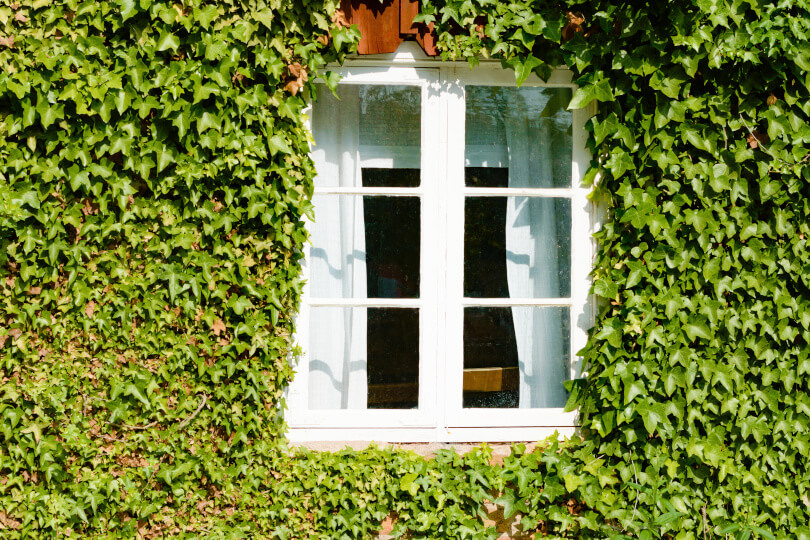 okna-drewniane-renowacja
