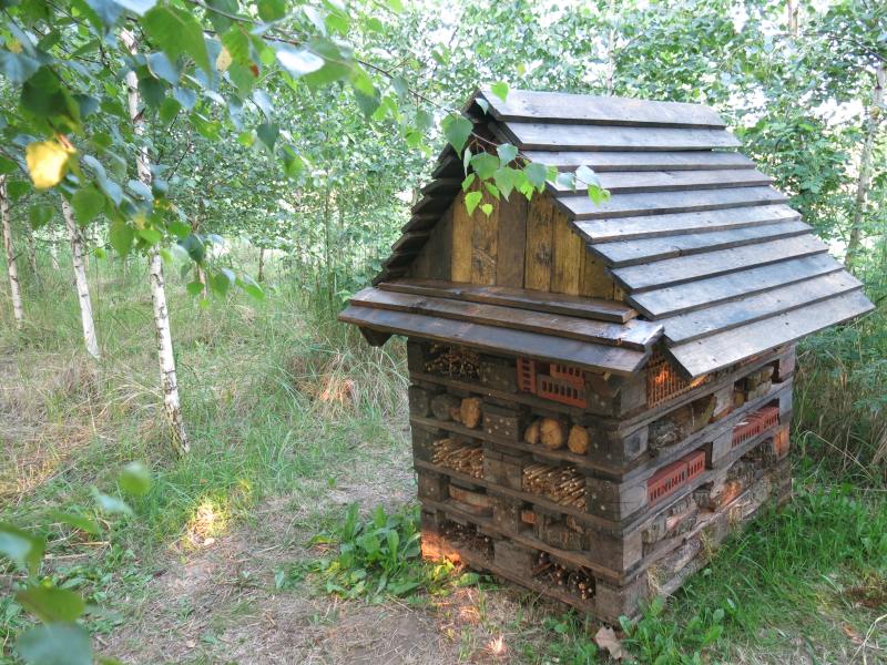 Hotel dla owadów z palet euro latem