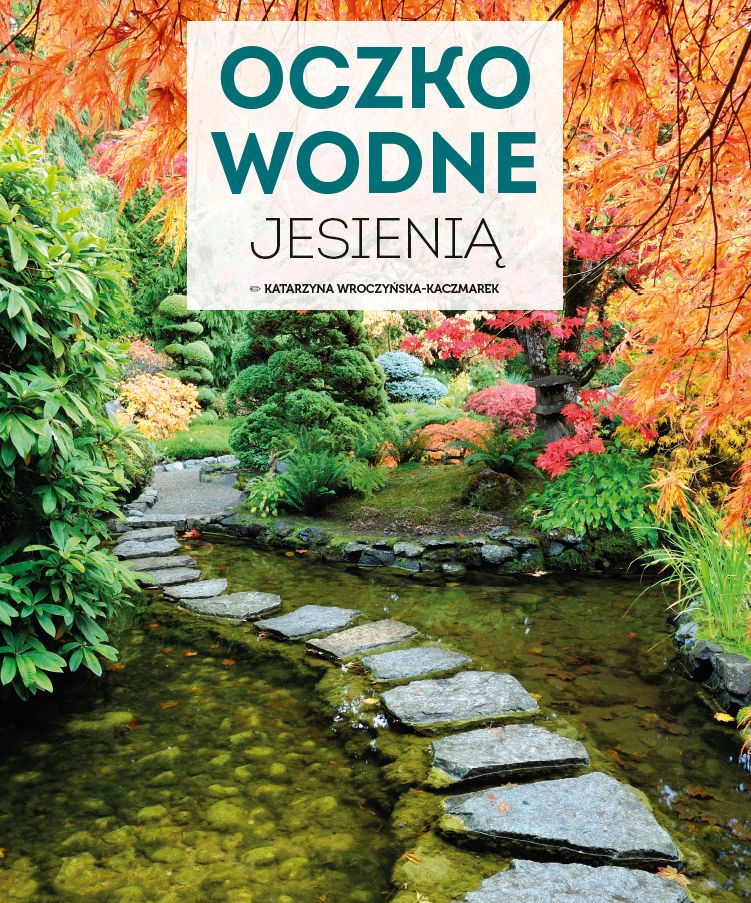 Oczko wodne jesienią