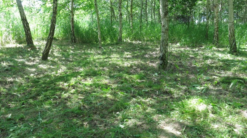 Teren pod ławkę z bali