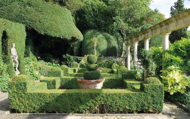 Roślinność w ogrodzie w stylu francuskim